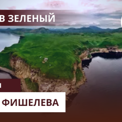 Igor_Fishelev_zelenyi_7b69937cddfc86938