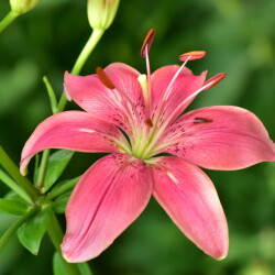 i-489a96ee657f84d303