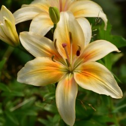 b1DC2j4L3wb-GCcfH2tjXzYf9yPsbCVcYAY29AWJv2WC2BZScWORCx5_td0SqQAjN1v5ZtbefaNpdcQQVA2CmRIG2c79e41b143e04bb6