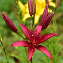 4EhD1bkRkkcB3og840u4NvyY_DEawQj_WSTulMG_dMfM3uIQI6v5MbL8G5Y-_EAaWQE-uA-M3ica1f9T9B_93j_D6f6d154ae81d639d