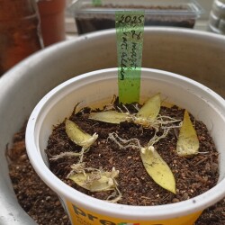 IMG_20251130_1558376119d8cbe890ed47