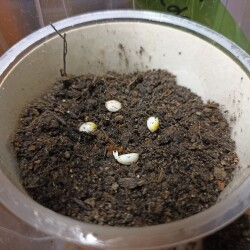 IMG_20251222_12575422345dbb717fa523