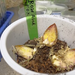 IMG_20251227_19071747d3f8d78063b0ce