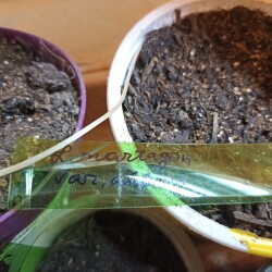 IMG_20260219_103330296ef7076ca2f981