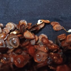 IMG_20251228_16110095c33ce6de0c39a7