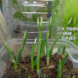 IMG_20251227_12460857c5f235b1926efc