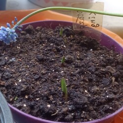 IMG_20250507_08090161707aba9fb9af9c