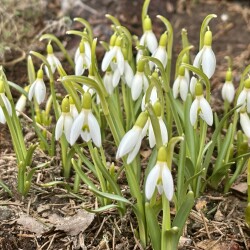 IMG_1350c15828933cc936f1