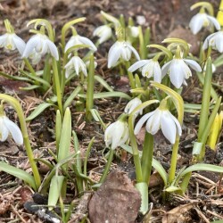 IMG_1351ab0595e729368199