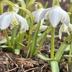 IMG_1352481da65628a2ba10