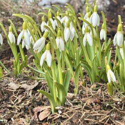 IMG_135305362103b4f158e6