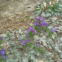 IMG_20260327_114251ceab96c723e8f24c