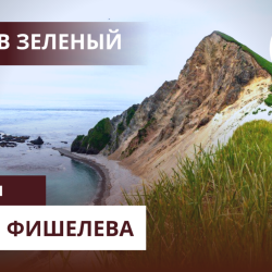 igor-fishelev-ostrov-zelenyj-1d6ae13ccd2dadf30