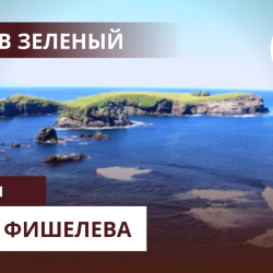igor-fishelev-ostrov-zelenyj-248701ca56a65c859