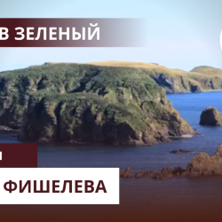 igor-fishelev-ostrov-zelenyj-5010c791e7f3a6aef