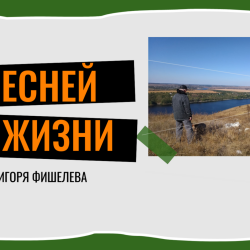 igor-fishelev-s-pesnei-po-zhizni95a6cfbead31061c