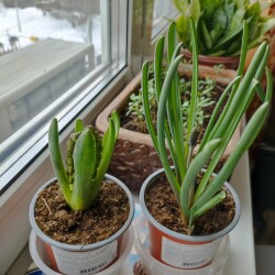 IMG_20260309_1418308495a5310241158a