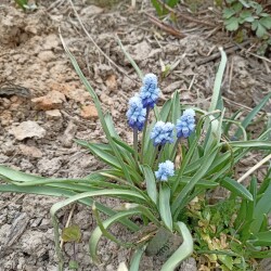 IMG_20260401_122904023f4dc3bf9cdd92