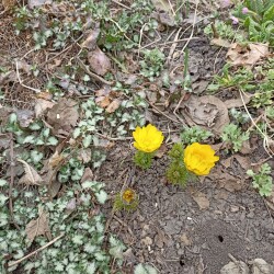 IMG_20260401_123135b103b30e144c5539