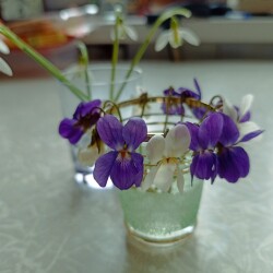 IMG_20260401_1623243c3b71fdcdad9fe9