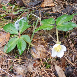 DSCN28537065065fcd6e9dde