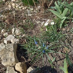 IMG_20260404_1239525422d3e365515145