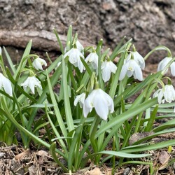 IMG_13765e96834577c06d8a