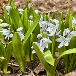 IMG_13792f11e687d8888887