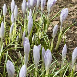 IMG_1380262588fcac296cb5