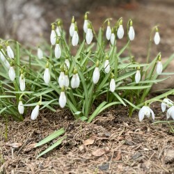 IMG_13826aba83d0d45b52b6