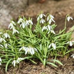 IMG_1399de9b882e5113ae47