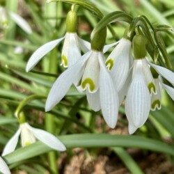 IMG_1400bb5ba73d93803656