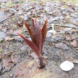 DSCN2843dbec67909f44b1f2