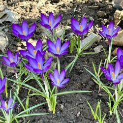 IMG_1430316ca14d730d7fa1