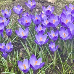 IMG_1435597dfc6448a25f9d