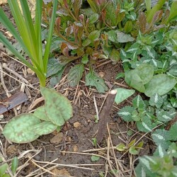 IMG_20260417_093311fc135581b8949765