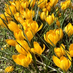 IMG_1461071cb7e96912233e