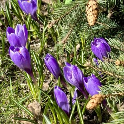 IMG_14627ab6a013bc755139