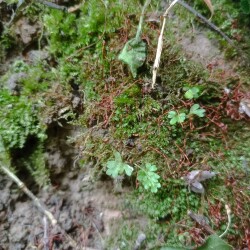 IMG_20250713_085357d83602b69d7a1ad4