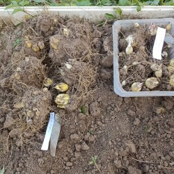 IMG_20250921_1720324d7330c2d3796b64