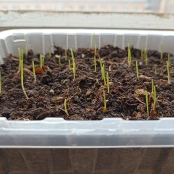 IMG_20260328_1703055dde5c022f236d1f