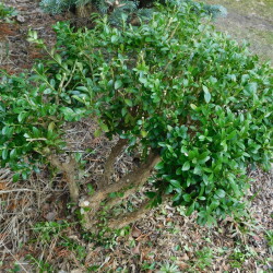 DSCN29441019bb4da1946af2