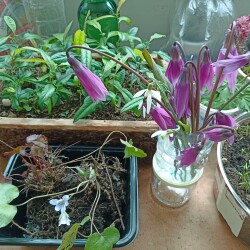 IMG_20260419_13124913d0d024c21b5b32