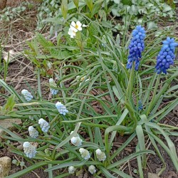 IMG_20260420_16455109afb34651a88f01