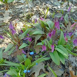 IMG_20260422_0912514571bdbda0070cfd