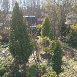 IMG_20260422_102527079437e7e12aafd6