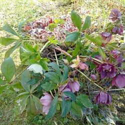 IMG_20260422_1515367f034d046a84a098