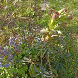 IMG_20260422_155903ef3bbbaca3f0b761