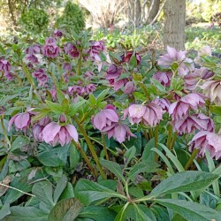 IMG_20260422_162611006111ce05c62567