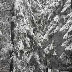 20260427_1007089bc9a02320bc047a